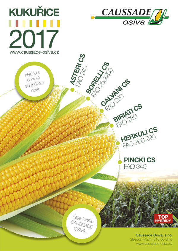 caussade inz caussade inz