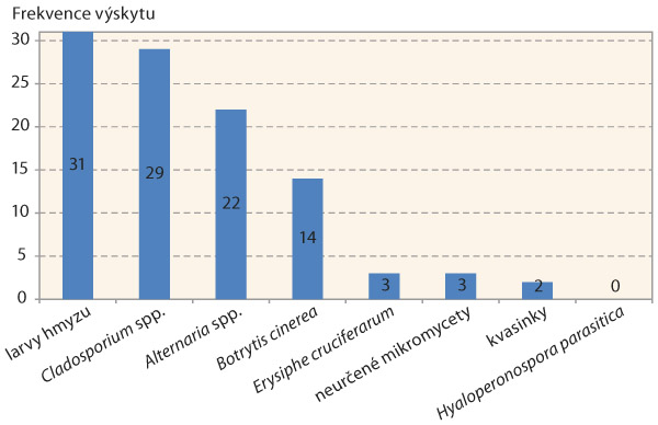 Graf 3: Diagnostika původců po&scaron;kozen&iacute; &scaron;e&scaron;ul&iacute; řepky, Olomouc 2016