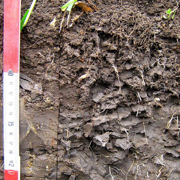 Obr. 1: Detail polyedrické struktury v ornici Obr. 1: Detail polyedrické struktury v ornici