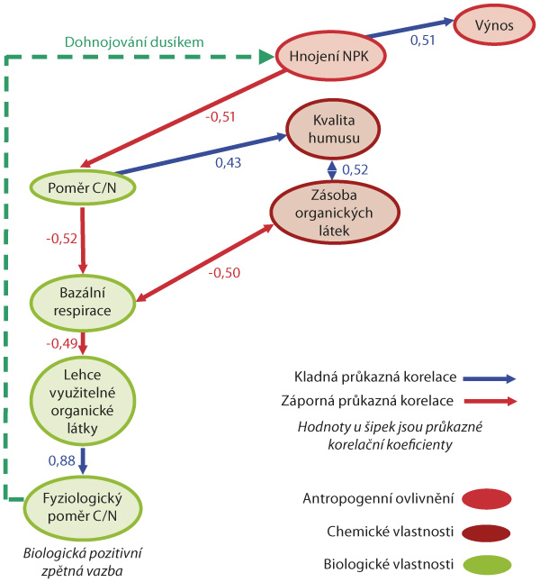 Schéma: Pozitivní zpětnovazebný systém mezi hnojením dusíkem a biologickou aktivitou černozemí (Pokorný a kol, 2012) Schéma: Pozitivní zpětnovazebný systém mezi hnojením dusíkem a biologickou aktivitou černozemí (Pokorný a kol, 2012)