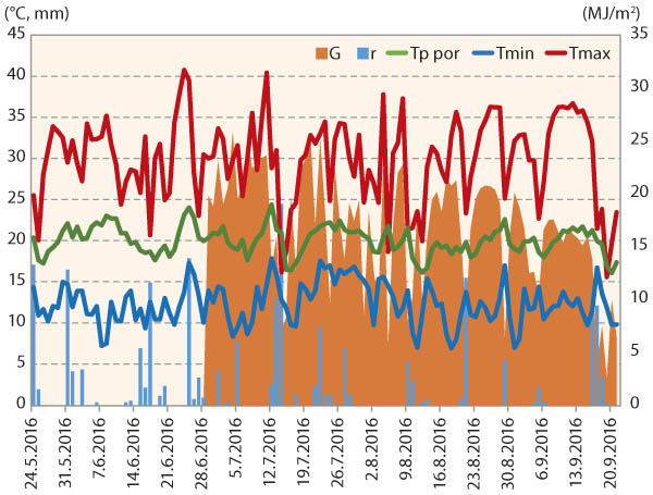 Graf 2: Průběh počas&iacute; ve vegetaci rajčat ne lokalitě Mochov v&nbsp;roce 2016