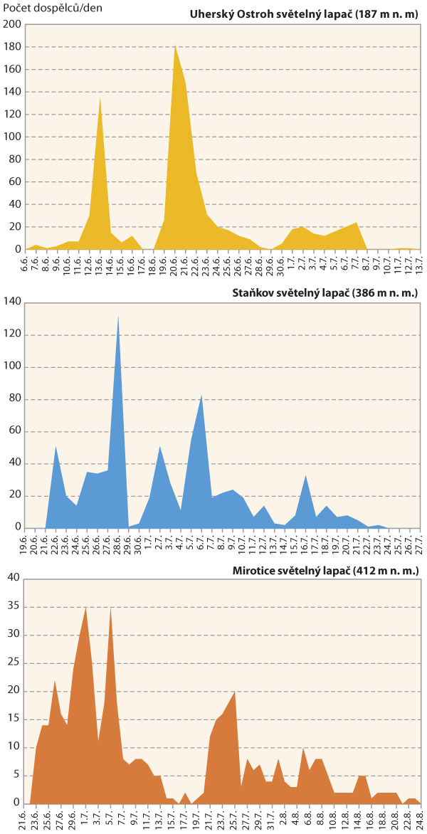 Graf: N&aacute;let zav&iacute;ječ kukuřičn&eacute;ho do světeln&yacute;ch lapačů v&nbsp;roce 2018