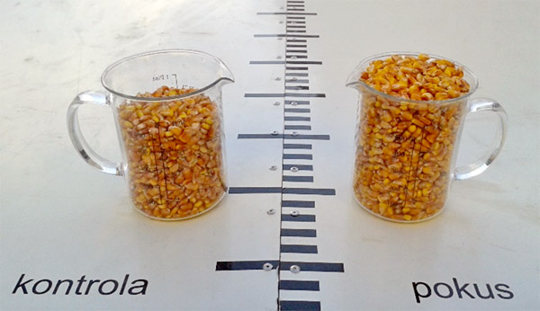 Obr. 5 Vizualiz&aacute;cia rozdielov počtu zŕn