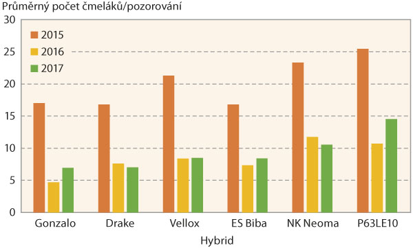 Graf 2: Atraktivita hybridů slunečnice pro čmel&aacute;ky