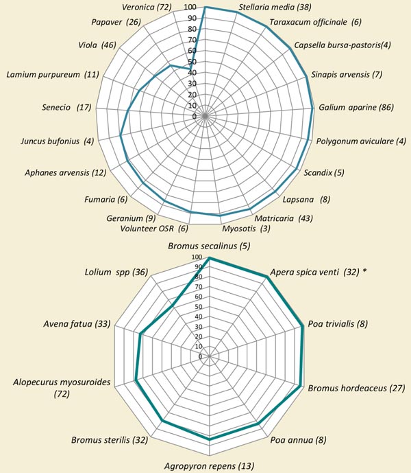 Graf: &Uacute;činnost herbicidu Agropyros na vybran&eacute; plevele při jarn&iacute; rozdělen&eacute; d&aacute;vce 2&times;13 g/ha, vždy se sm&aacute;čedlem (Francie, 2016)