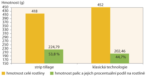 Graf 3: Vliv technologie zpracov&aacute;n&iacute; půdy na hmotnost rostliny, hmotnost palice na rostlině a&nbsp;% pod&iacute;l hmotnosti palic na rostlině
