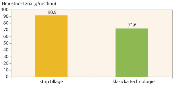Graf 4: Vliv technologie zpracov&aacute;n&iacute; půdy na hmotnost zrna na rostlinu