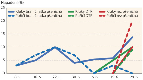 Graf 2: V&yacute;voj braničnatky p&scaron;eničn&eacute;, DTR a&nbsp;rzi p&scaron;eničn&eacute; na lokalitě Kluky a&nbsp;Poř&iacute;č&iacute; nad S&aacute;zavou, jaro 2018
