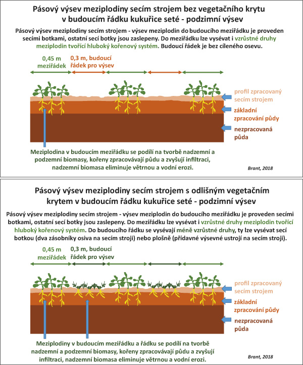 Obr. 1: Princip založen&iacute; p&aacute;sů pomocn&eacute; plodiny sec&iacute;m strojem