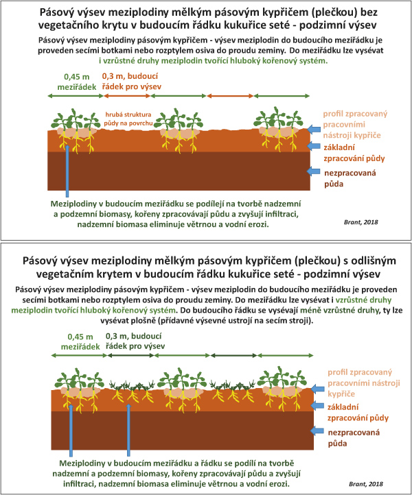 Obr. 2: Princip založen&iacute; p&aacute;sů pomocn&eacute; plodiny p&aacute;sov&yacute;m kypřičem pro mělk&eacute; kypřen&iacute; či plečkou
