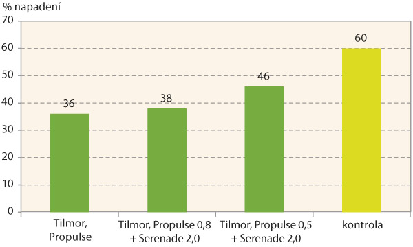 Graf 2: Vliv aplikace fungicidů na napaden&iacute; stonků verticiliov&yacute;m vadnut&iacute;m