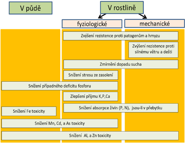 Sch&eacute;ma 2: Př&iacute;nos Si pro plodiny pod různ&yacute;mi environment&aacute;ln&iacute;mi stresy