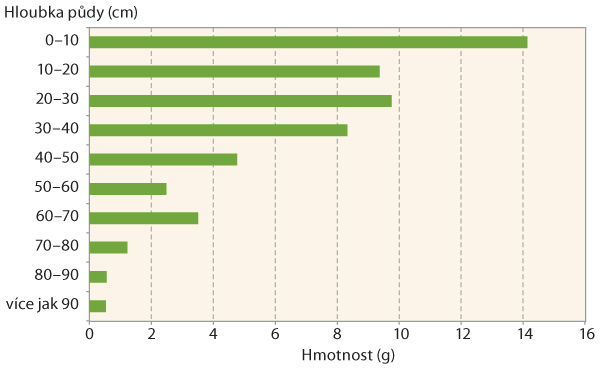 Graf 1: Prostorov&eacute; rozm&iacute;stěn&iacute; kořenov&eacute;ho syst&eacute;mu u&nbsp;pch&aacute;če roln&iacute;ho (modelov&yacute; pokus)