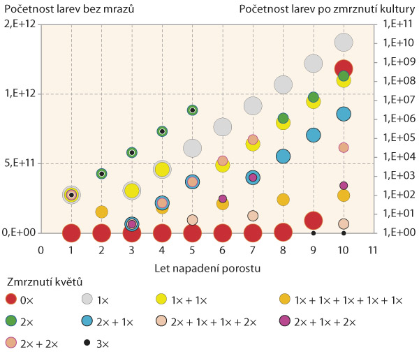 Graf 2: Teoretick&yacute; růst populace tmavky &scaron;vestkov&eacute; v&nbsp;deseti letech od introdukce, neomezen&yacute; a&nbsp;s přihl&eacute;dnut&iacute;m na zmrznut&iacute; květů