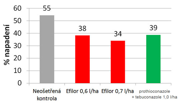 Graf 4: &Uacute;činnost př&iacute;pravků Efilor&reg; na porostech řepky infikovan&yacute;ch fomovou hnilobou, porovn&aacute;n&iacute; s&nbsp;př&iacute;pravky na b&aacute;zi prothioconazole+tebuconazole (Oseva Pro Opava, V&Uacute;O, 2014)