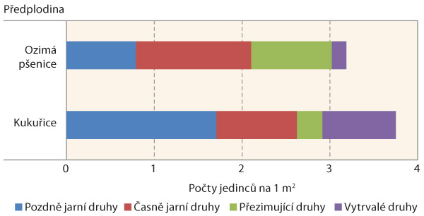 Graf 1: Zastoupen&iacute; biologick&yacute;ch skupin plevelů v&nbsp;kukuřici po různ&yacute;ch předplodin&aacute;ch