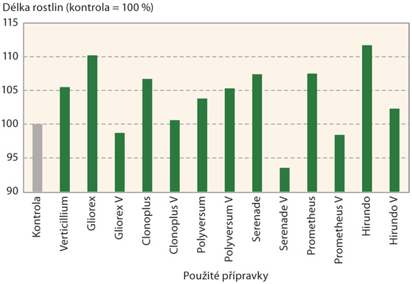 Graf 1: D&eacute;lka rostlin od krčku po nejdel&scaron;&iacute; list