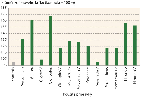Graf 2: Průměr kořenov&eacute;ho krčku