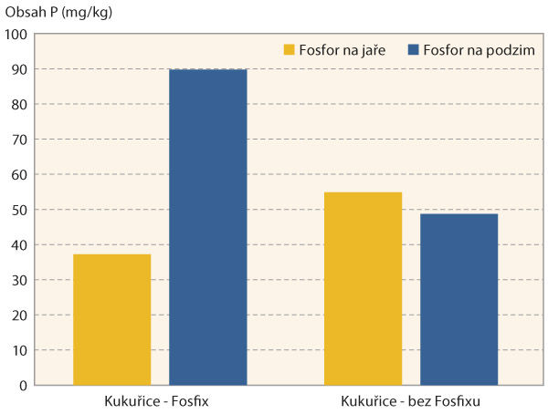 Graf 1: Vliv aplikace Fosfixu na obsah fosforu v&nbsp;kukuřici