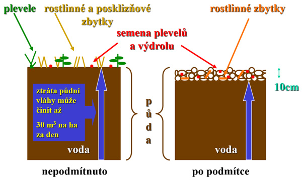 Obr. 1: Hlavn&iacute;m &uacute;kolem podm&iacute;tky je hospodařit s&nbsp;půdn&iacute; vl&aacute;hou a&nbsp;ničit plevele (V. Brant)