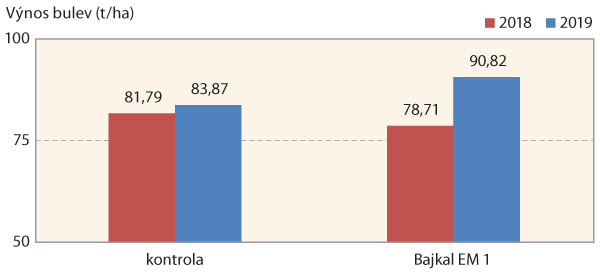 Graf 6: Vliv půdn&iacute;ch bakteri&iacute; firmy Manatech, a. s., na v&yacute;nos bulev v&nbsp;letech 2018 a&nbsp;2019
