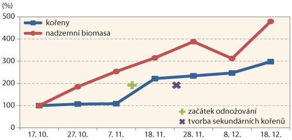 Graf 1: Růst ozim&eacute; p&scaron;enice během zimn&iacute;ho obdob&iacute; (odrůda Tobak)