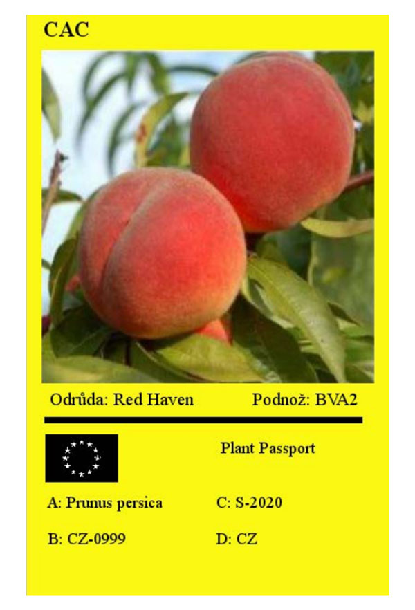 Nov&aacute; žlut&aacute; n&aacute;věska - CAC