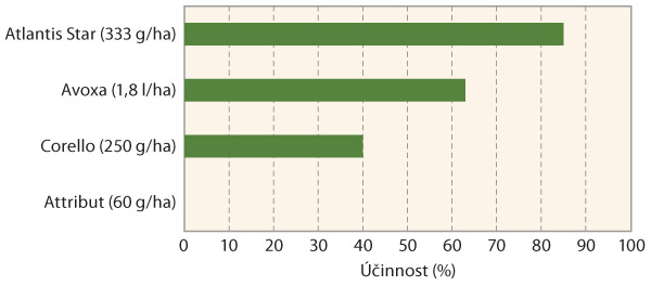 Graf 3: Porovn&aacute;n&iacute; &uacute;činnosti herbicidů s&nbsp;graminicidn&iacute;m &uacute;činkem na mrvku my&scaron;&iacute; ocasek při jarn&iacute;m o&scaron;etřen&iacute; (data pouze z&nbsp;jednoho pokusu proveden&eacute;ho v&nbsp;roce 2019 - extr&eacute;mně such&eacute; podm&iacute;nky, herbicid Atlantis Star byl použit s&nbsp;adjuvantem Biopower, Corello s&nbsp;adjuvantem &Scaron;aman a&nbsp;Attribut s&nbsp;adjuvantem Mero)