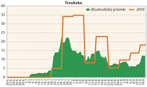 Graf 1: Srovn&aacute;n&iacute; průměrn&eacute; denn&iacute; početnosti dospělců b&aacute;zlivce kukuřičn&eacute;ho na lokalitě Troubsko v&nbsp;roce 2019 s&nbsp;dlouhodob&yacute;m norm&aacute;lem