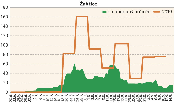 Graf 2: Srovn&aacute;n&iacute; průměrn&eacute; denn&iacute; početnosti dospělců b&aacute;zlivce kukuřičn&eacute;ho na lokalitě Žabčice v&nbsp;roce 2019 s&nbsp;dlouhodob&yacute;m norm&aacute;lem