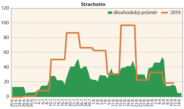 Graf 4: Srovn&aacute;n&iacute; průměrn&eacute; denn&iacute; početnosti dospělců b&aacute;zlivce kukuřičn&eacute;ho na lokalitě Strachot&iacute;n v&nbsp;roce 2019 s&nbsp;dlouhodob&yacute;m norm&aacute;lem