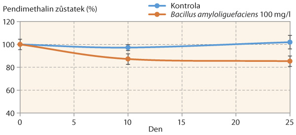 Graf: Degradace pendimethalinu kmenem Bacillus amyloliquefaciens
