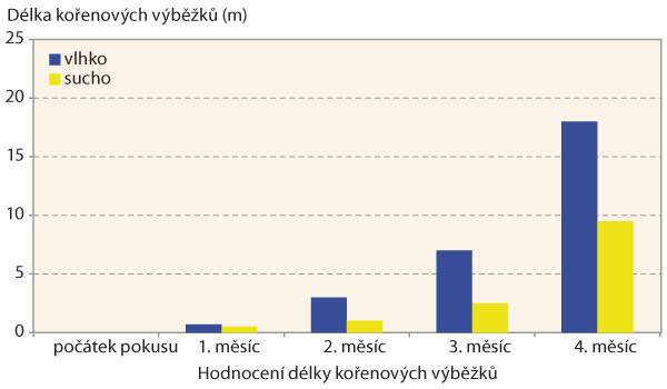 Graf 1: Vliv vodn&iacute;ho režimu na tvorbu kořenov&yacute;ch v&yacute;běžků čistce bahenn&iacute;ho
