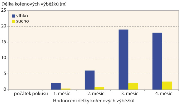 Graf 2: Vliv vodn&iacute;ho režimu na tvorbu kořenov&yacute;ch v&yacute;běžků kamy&scaron;n&iacute;ku &scaron;irokoplod&eacute;ho