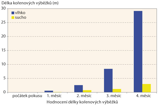 Graf 3: Vliv vodn&iacute;ho režimu na tvorbu kořenov&yacute;ch v&yacute;běžků rdesna obojživeln&eacute;ho