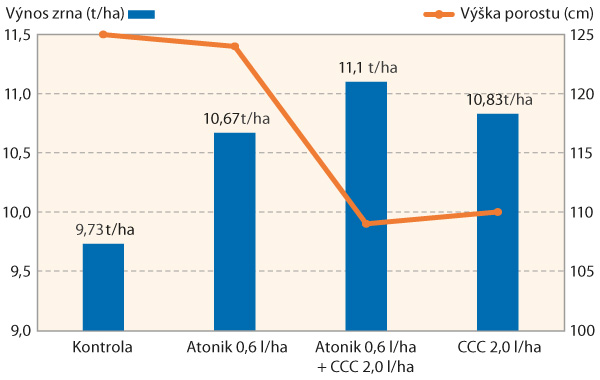 Graf 1: Vliv aplikace Atoniku a regulátoru růstu na výšku porostu a výnos zrna ozimé pšenice (odr. Bohemia, Ditana, 2016) Graf 1: Vliv aplikace Atoniku a regulátoru růstu na výšku porostu a výnos zrna ozimé pšenice (odr. Bohemia, Ditana, 2016)