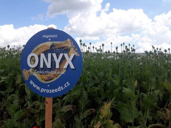 Onyx pro &scaron;pičkov&yacute; v&yacute;nos i&nbsp;v roce 2021