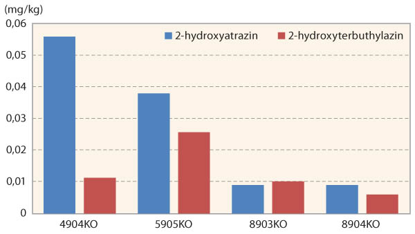 Graf 3: Obsahy 2-hydroxyatrazinu a&nbsp;2-hydroxyterbuthylazinu pod travn&iacute;mi porosty (průměrn&yacute; obsah)