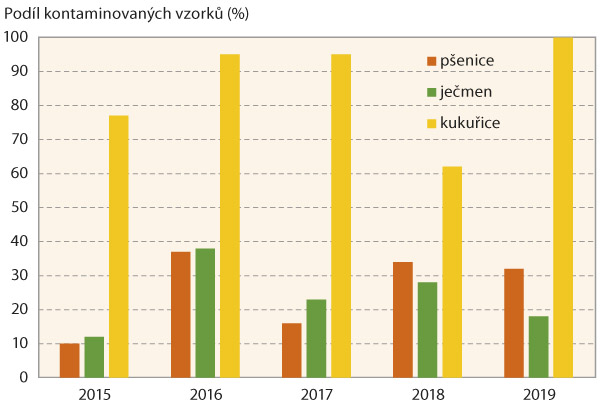 Graf 1: Pod&iacute;l kontaminovan&yacute;ch vzorků p&scaron;enice, ječmene a&nbsp;kukuřice deoxynivalenolem (obsah > 20 &mu;g/kg) v&nbsp;letech 2015&ndash;2019 v&nbsp;ČR