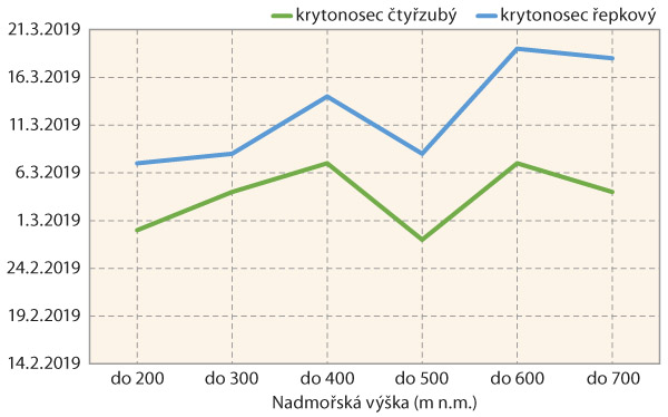 Graf 1: Vliv nadmořské výšky na první nálet krytonosců do porostů řepky roce 2019 Graf 1: Vliv nadmořské výšky na první nálet krytonosců do porostů řepky roce 2019