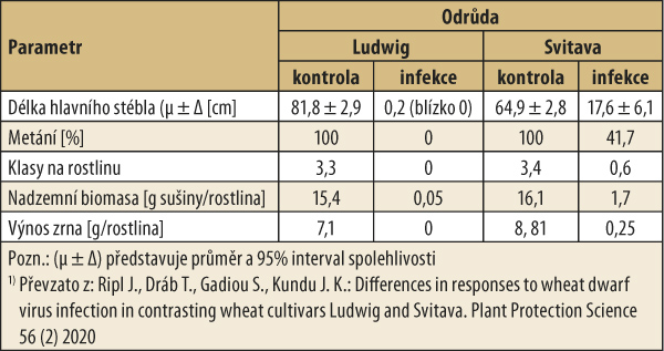 Tab. 1: Sklizňová analýza zdravých a WDV nemocných rostlin; Polní pokusy 2009, 2010, 20111) Tab. 1: Sklizňová analýza zdravých a WDV nemocných rostlin; Polní pokusy 2009, 2010, 20111)