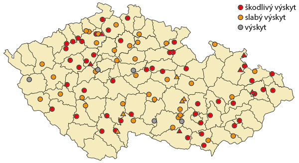 Mapa 2: Výskyt mšice broskvoňové (Myzus persicae) na podzim 2019 Mapa 2: Výskyt mšice broskvoňové (Myzus persicae) na podzim 2019