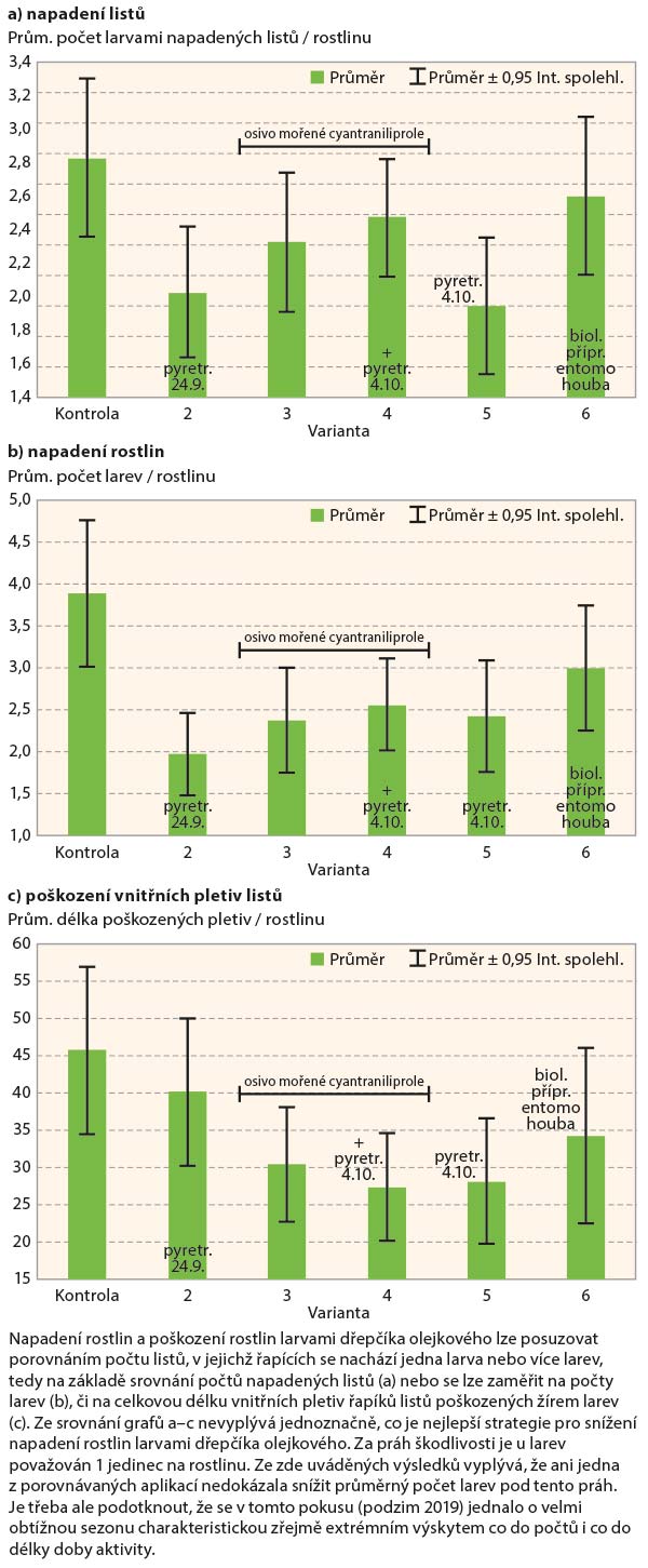 Graf 3: Napaden&iacute; jednotliv&yacute;ch č&aacute;st&iacute; rostlin larvami dřepč&iacute;ka olejkov&eacute;ho (11. 11. 2019)