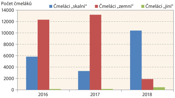 Graf 1: Poměr četnosti tř&iacute; skupin čmel&aacute;ků pozorovan&yacute;ch na květech (2016&ndash;2018)