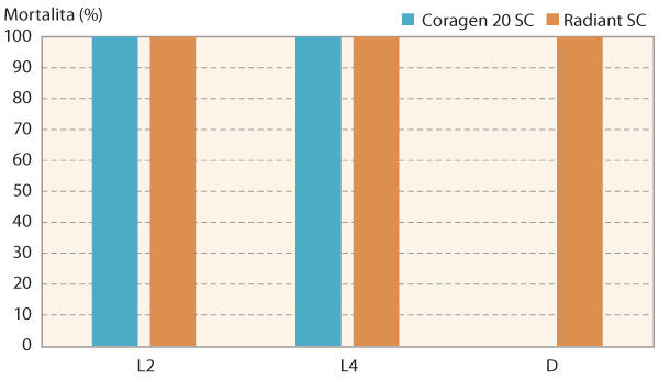 Graf 2: Účinky insekticidů v požerovém testu na larvy L2, L4 a dospělce (D) mandelinky bramborové (mortalita za 96 hodin) Graf 2: Účinky insekticidů v požerovém testu na larvy L2, L4 a dospělce (D) mandelinky bramborové (mortalita za 96 hodin)