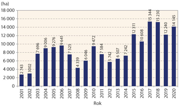 Graf 2: V&yacute;voj osevn&iacute;ch ploch s&oacute;ji v&nbsp;ČR