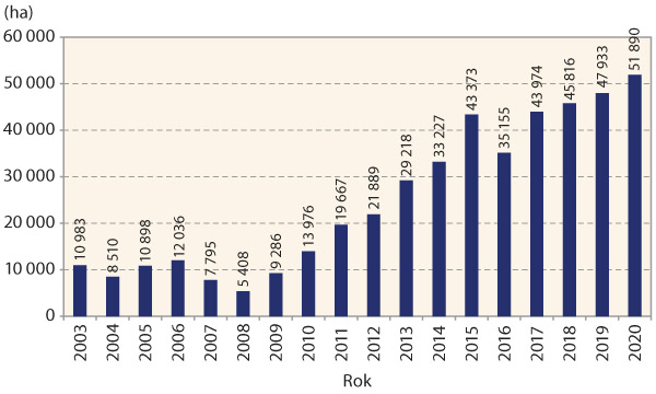 Graf 3: V&yacute;voj osevn&iacute;ch ploch s&oacute;ji v&nbsp;SR