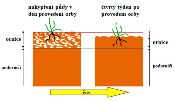 Obr. 2: Po proveden&iacute; orby do set&iacute; mus&iacute; doj&iacute;t ke slehnut&iacute; půdy, kter&eacute; je důležit&eacute; pro dobr&eacute; vzch&aacute;zen&iacute;, zakořeňov&aacute;n&iacute; a&nbsp;n&aacute;sledn&yacute; v&yacute;voj porostů (V. Brant)