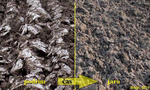 Obr. 6: Během zimy dojde v&nbsp;důsledku působen&iacute; vody a&nbsp;mrazu k&nbsp;rozru&scaron;en&iacute; sk&yacute;v a&nbsp;hrud