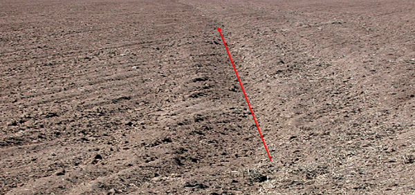 Obr. 3: Rozory se problematicky urovn&aacute;vaj&iacute; při předseťov&eacute; př&iacute;pravě (V. Brant)